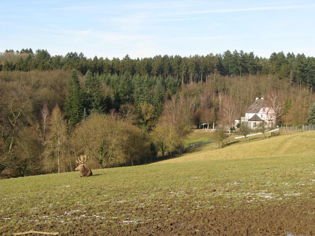 Waldhotel Forsthaus Remstecken Koblenz  Exteriör bild